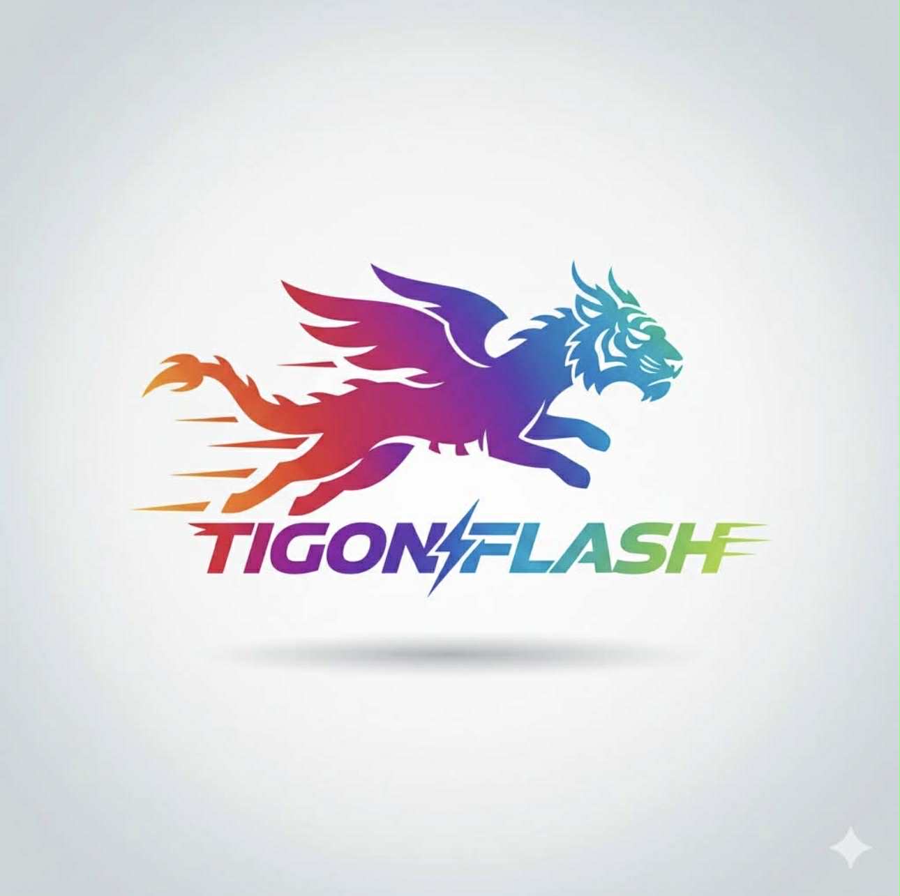 TIGONFLASH